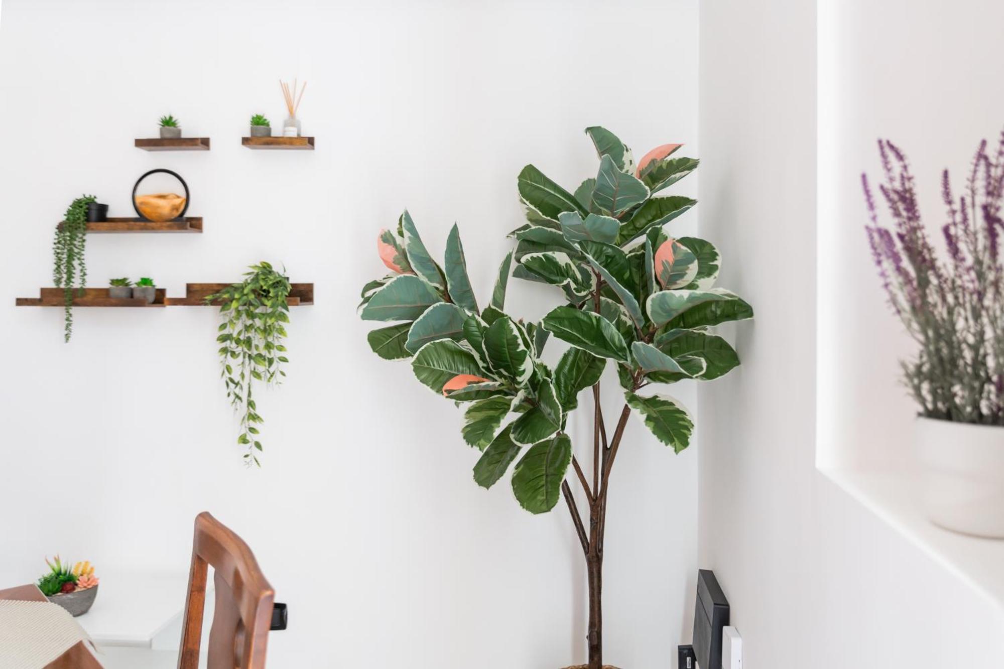 Covino House By Dimorra Apartment Napoli Bagian luar foto